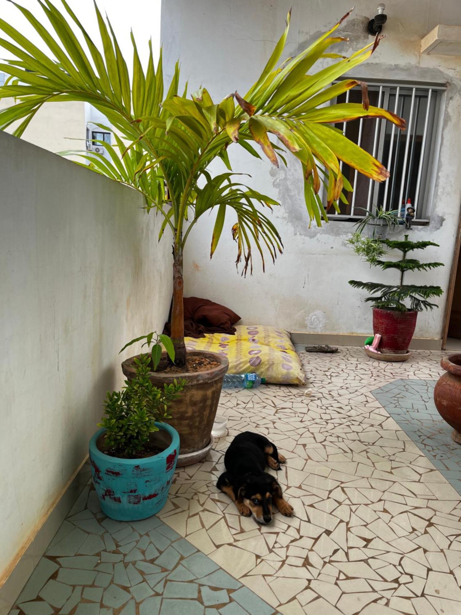 Like At Home Dakar Ngoại thất bức ảnh